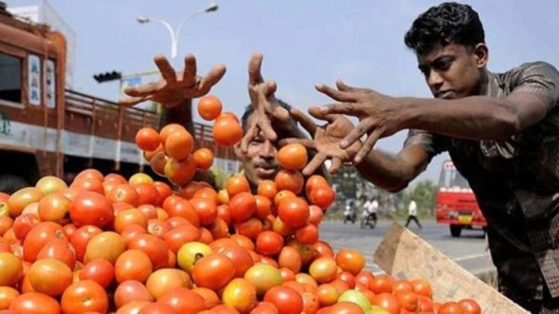 Tomatoes become expensive, price increased by 50% in 10 days, know what caused the fire of inflation